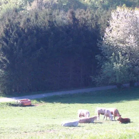 Apartament Eva
