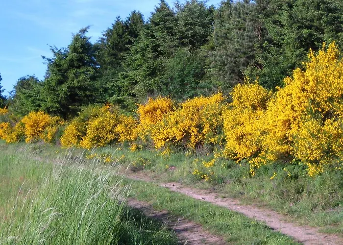 Eva Appartement Wimbach