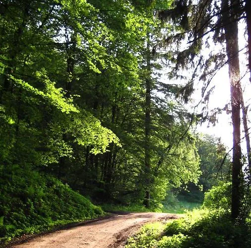 アパート Eva Wimbach